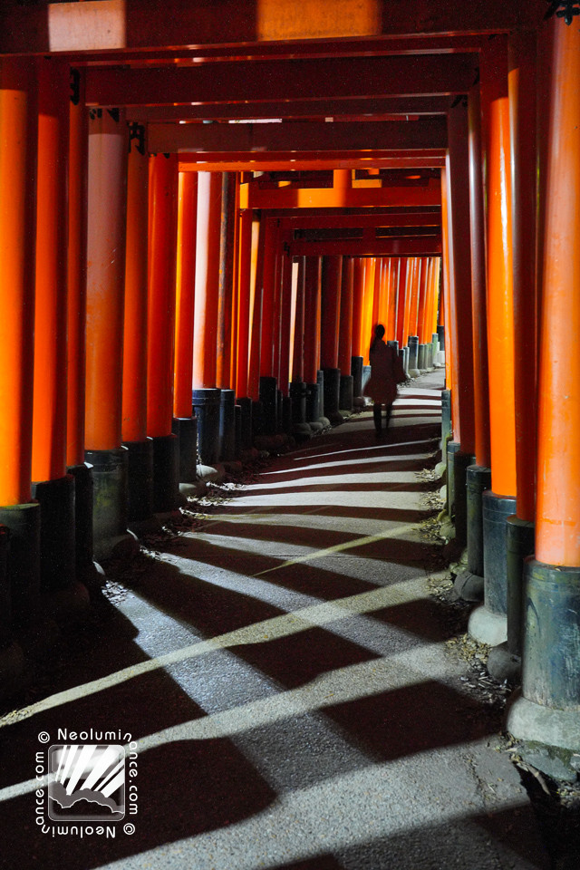 Fushimi Inari Gate Tunnel