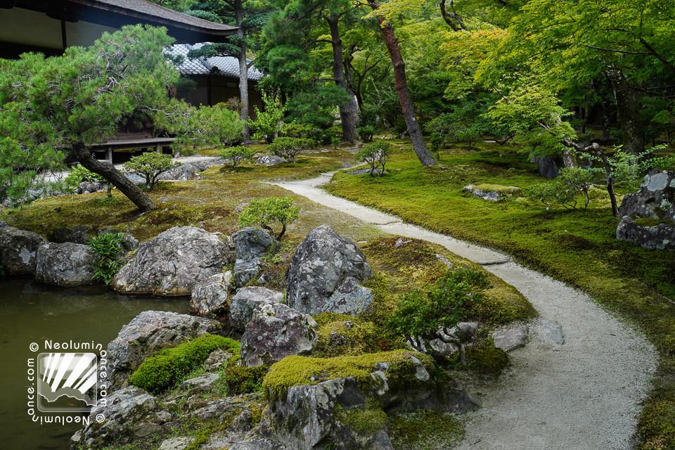 Kyoto Temple Garden