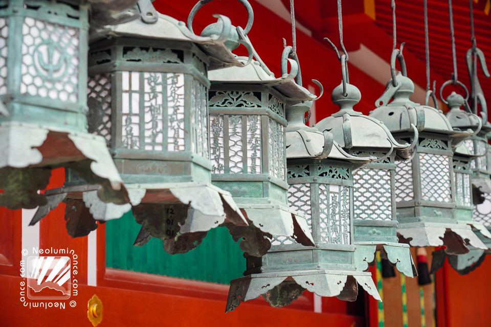 Kasuga Shrine Lanterns