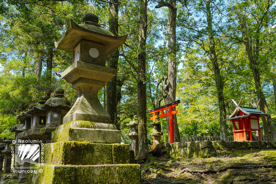 Nara Stone Lanterns