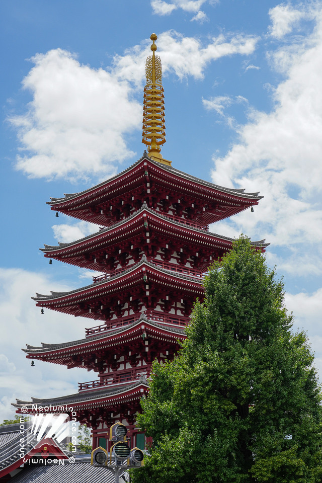 Asakusa Shinto Shrine